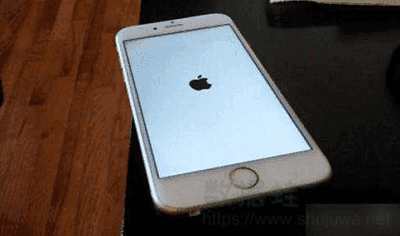 苹果手机白屏怎么办