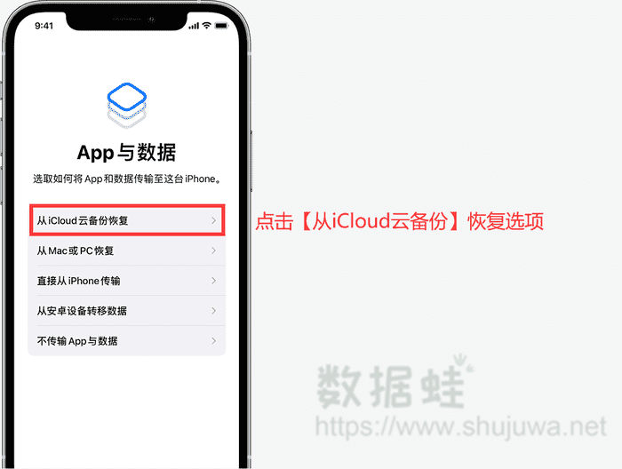 点击从icloud云备份恢复