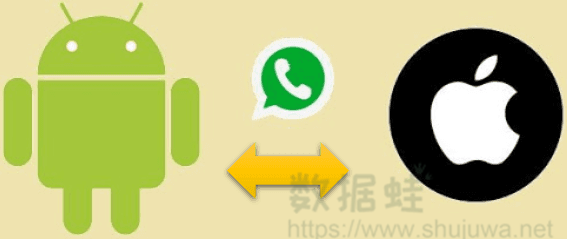 WhatsApp对话记录如何转移