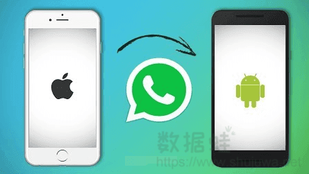 WhatsApp对话记录从iPhone转入Android