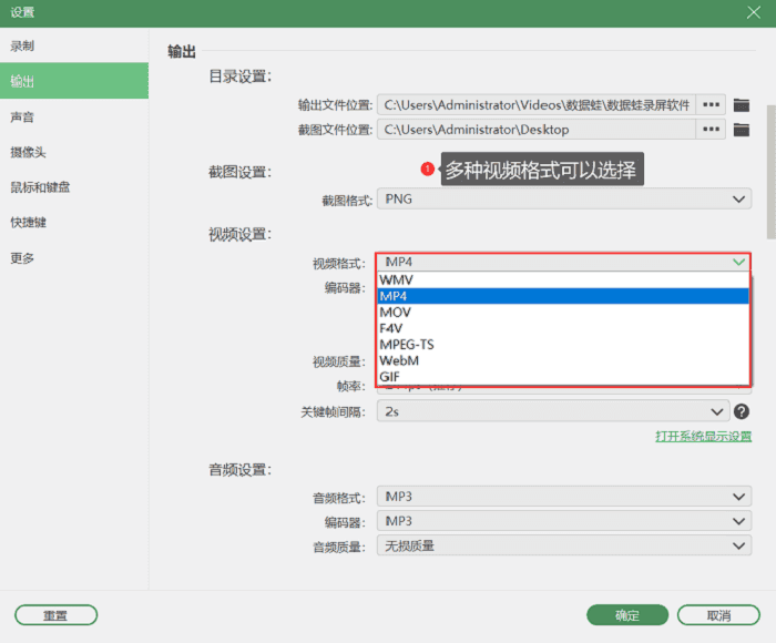 多种视频格式