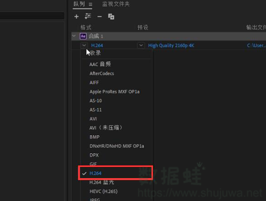 选择H.264作为输出模块