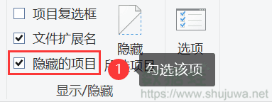 隐藏项目查看