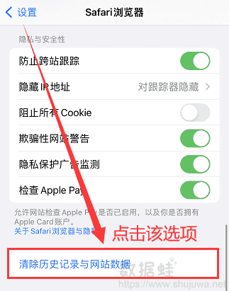 点击Safari浏览器