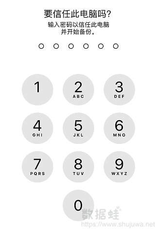 手机后会弹出【密码输入】页面