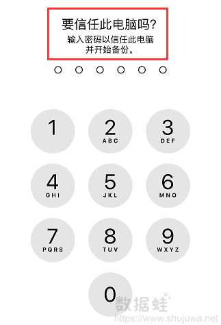 输入密码使您的iPhone受信任于软件