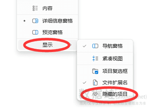 隐藏的项目